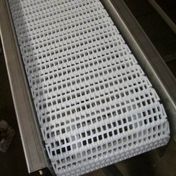 塑鋼網帶輸送機-5